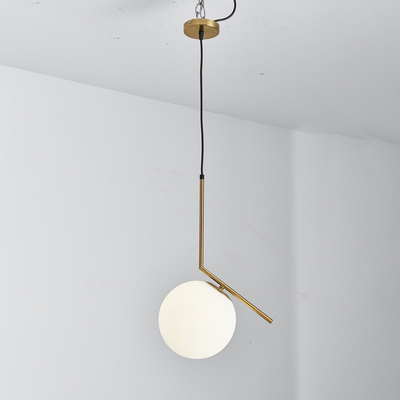 Lampu Langit-langit Liontin Led Kepala Tunggal Dekoratif Untuk Hotel / Rumah