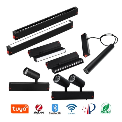 Tertanam Magnetik LED Double Head Track Light COB 4000K 6000K Spotlight